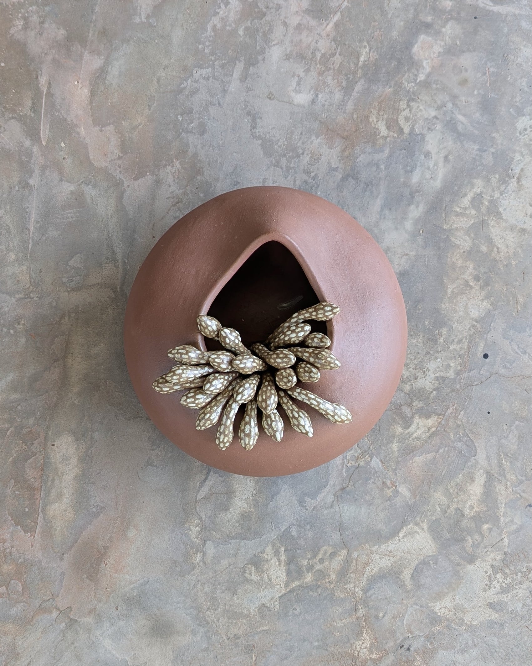 Form 31 | Growth