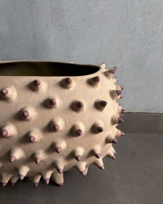 Bounty Bowl | 01