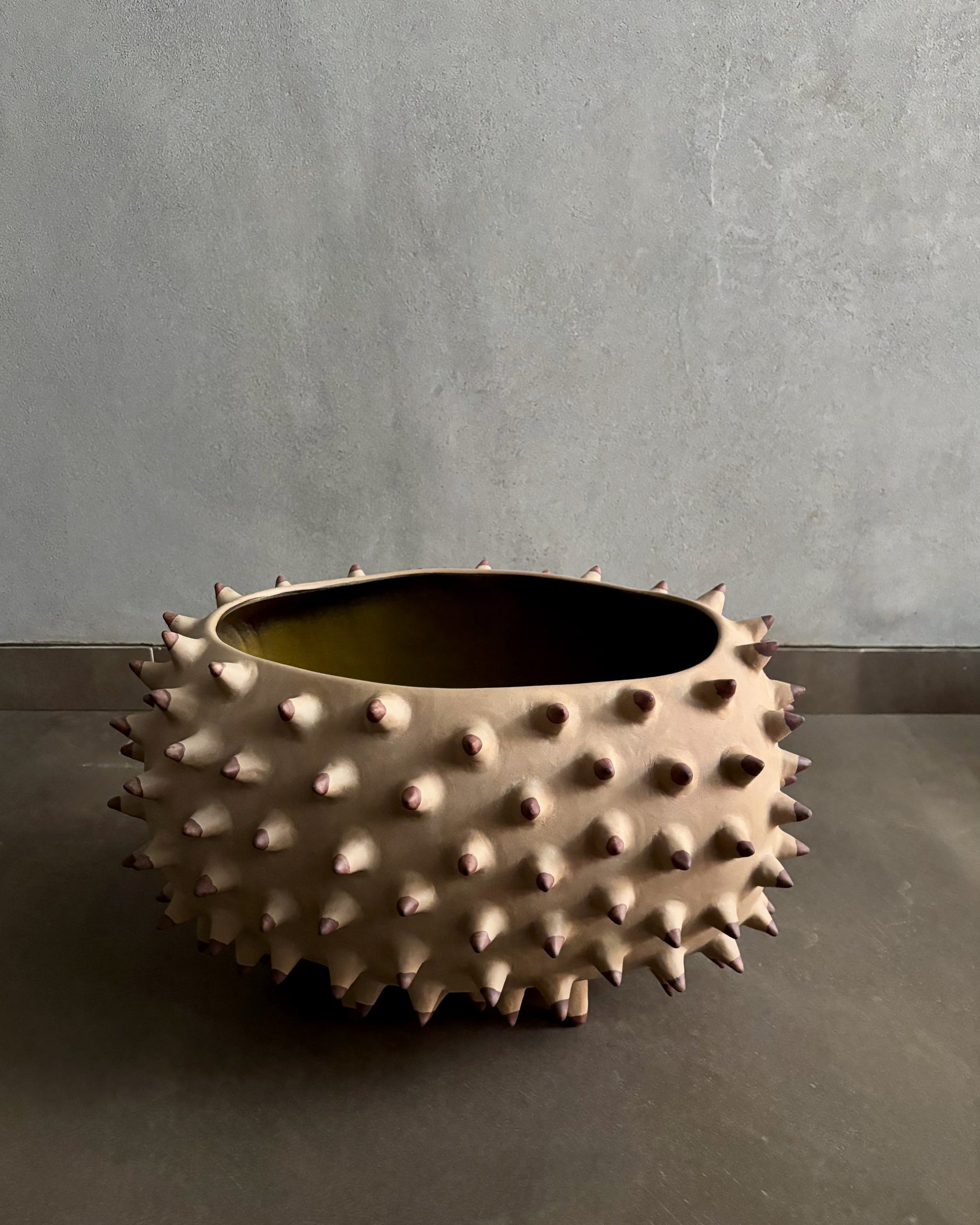 Bounty Bowl | 01