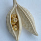 Abundance | 04